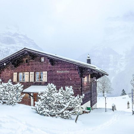 Apartment Chalet Blaugletscher By Interhome Grindelwald Zewnętrze zdjęcie